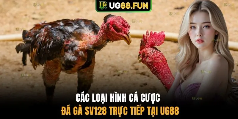 Các loại hình cá cược đá gà SV128 trực tiếp tại UG88