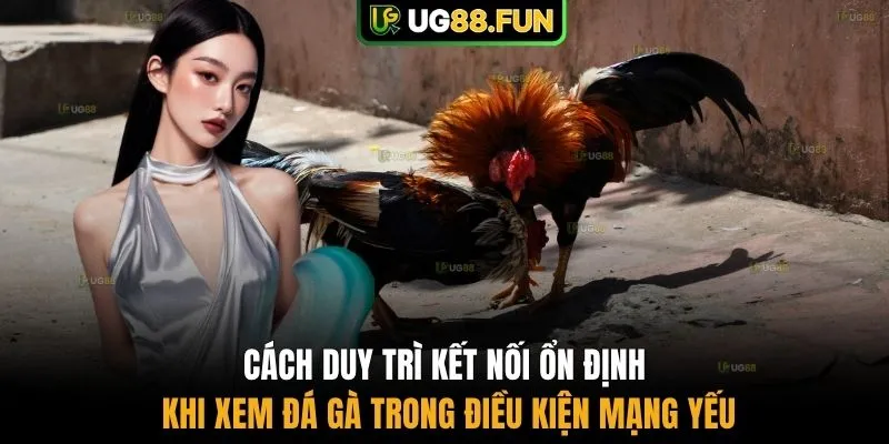 Cách duy trì kết nối ổn định khi xem đá gà trong điều kiện mạng yếu