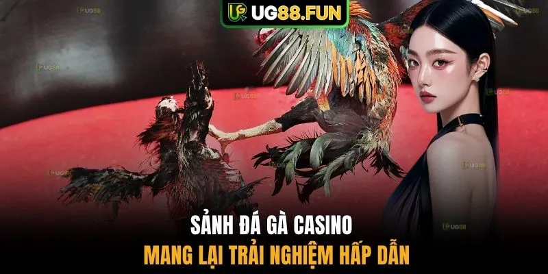 Sảnh đá gà casino mang lại trải nghiệm hấp dẫn